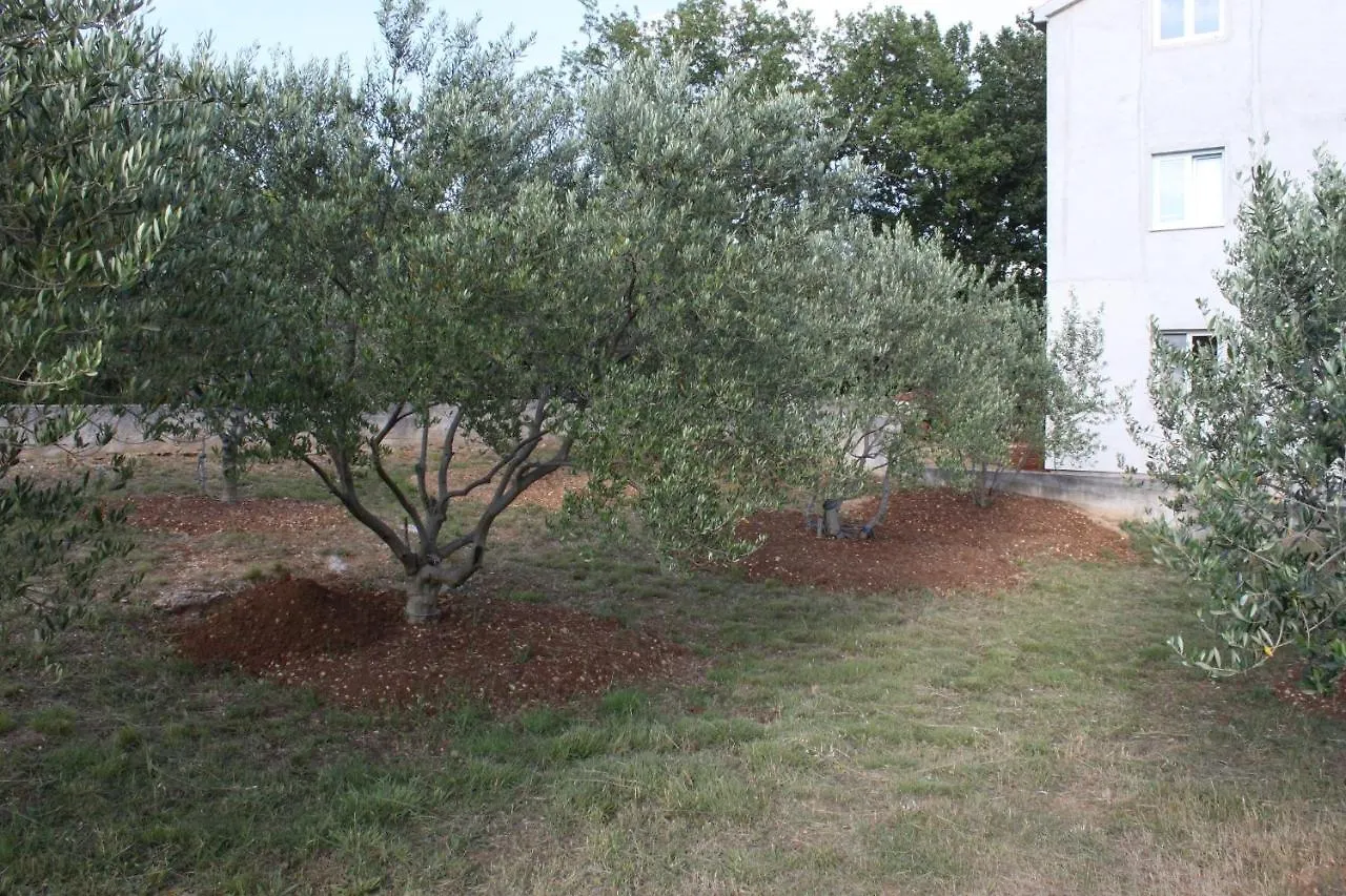 Apartment Maslenica 6573D